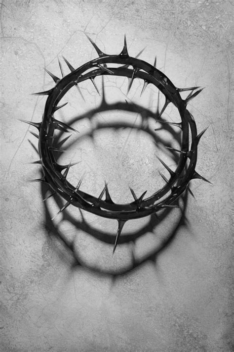 The Crown of Thorns: Inspiring Devotion and Prayer